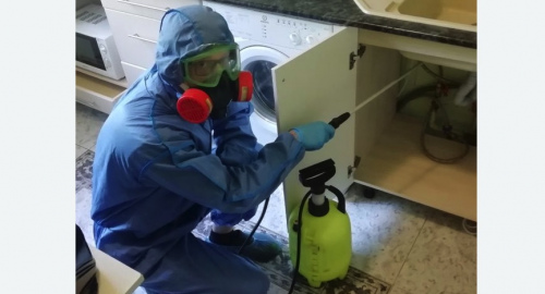 Уничтожение муравьев в квартире. Донецк
