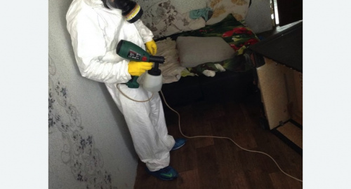 Обработка квартир от насекомых в Донецке