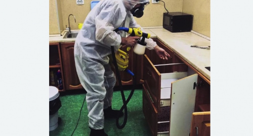 Дезинсекция квартиры. Донецк