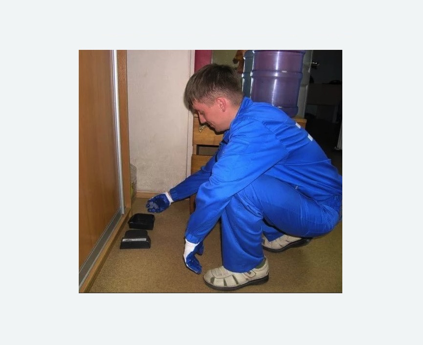 Дератизация крыс в Донецке