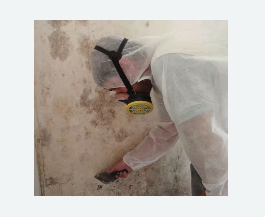 Обработка стен от плесени в Донецке