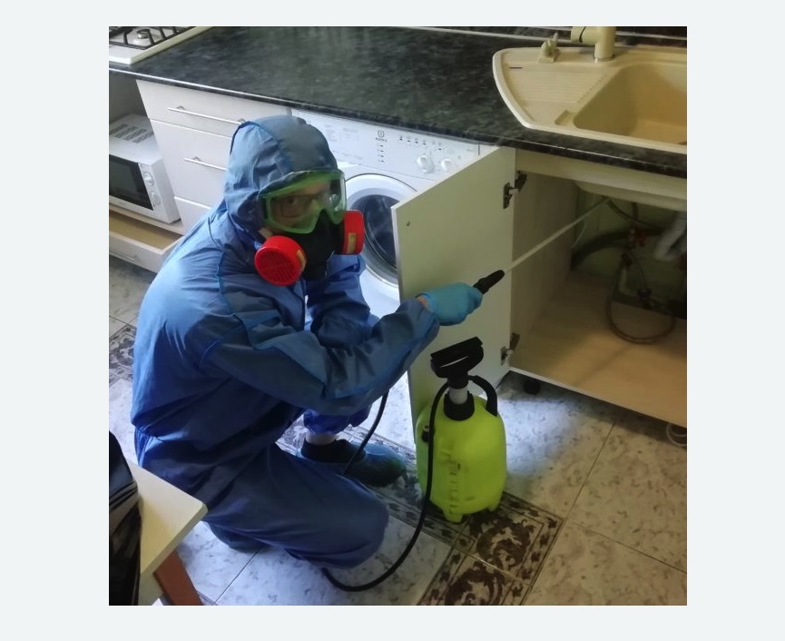 обработка от муравьев в квартире в Донецке