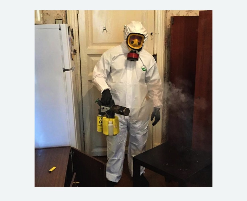 уничтожение муравьев в квартире в Донецке